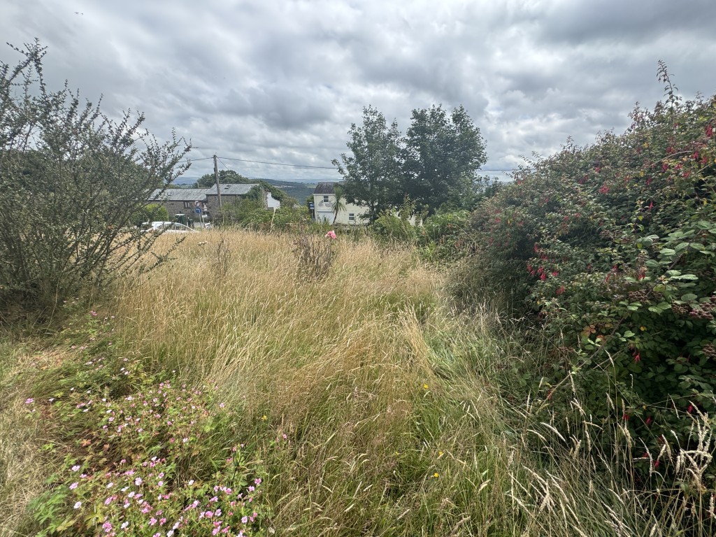 Lot: 118 - 	SEMI-DETACHED BUNGALOW FOR IMPROVEMENT - Front garden